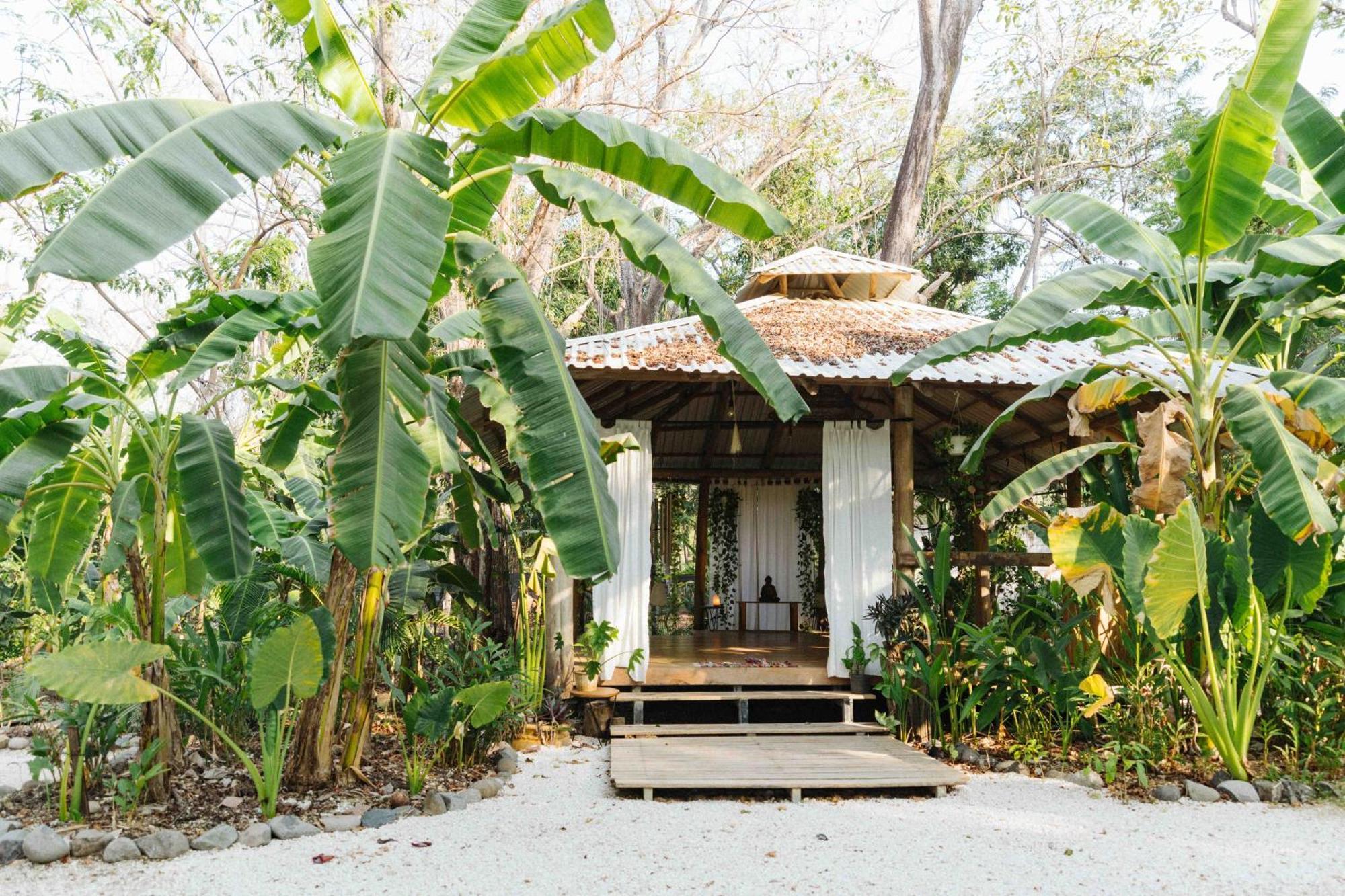 Zeneidas Surf Garden Playa Santa Teresa  Dış mekan fotoğraf