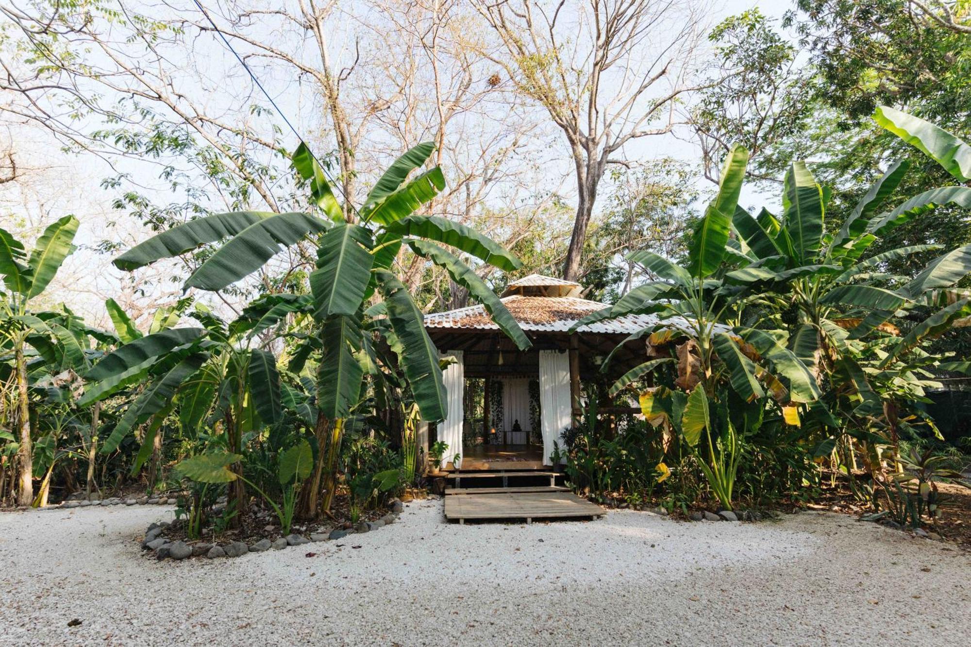 Zeneidas Surf Garden Playa Santa Teresa  Dış mekan fotoğraf