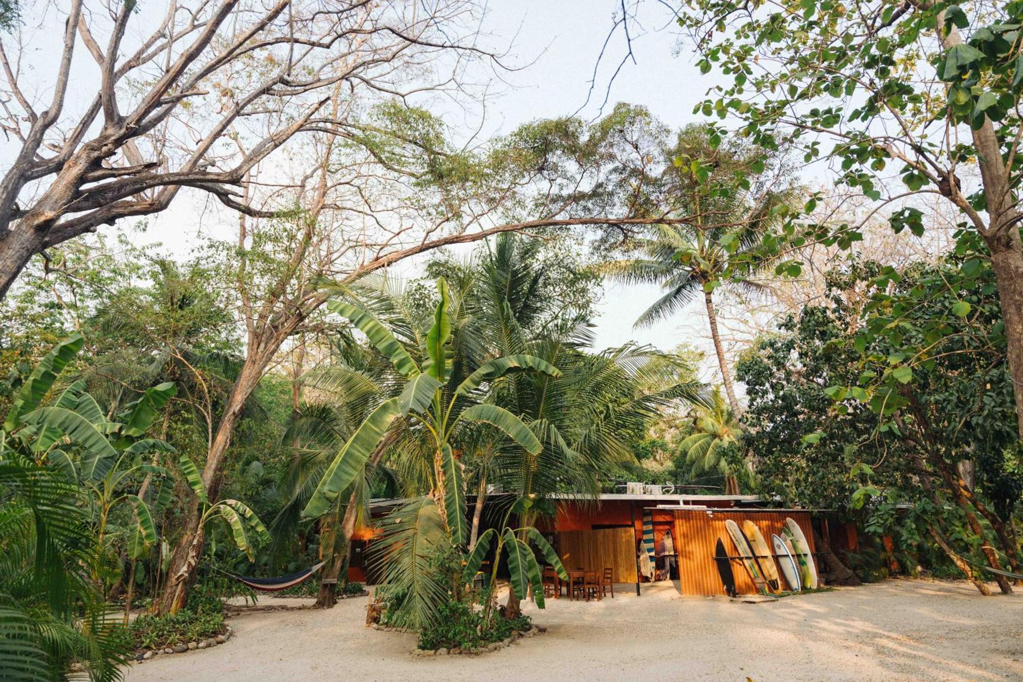 Zeneidas Surf Garden Playa Santa Teresa  Dış mekan fotoğraf